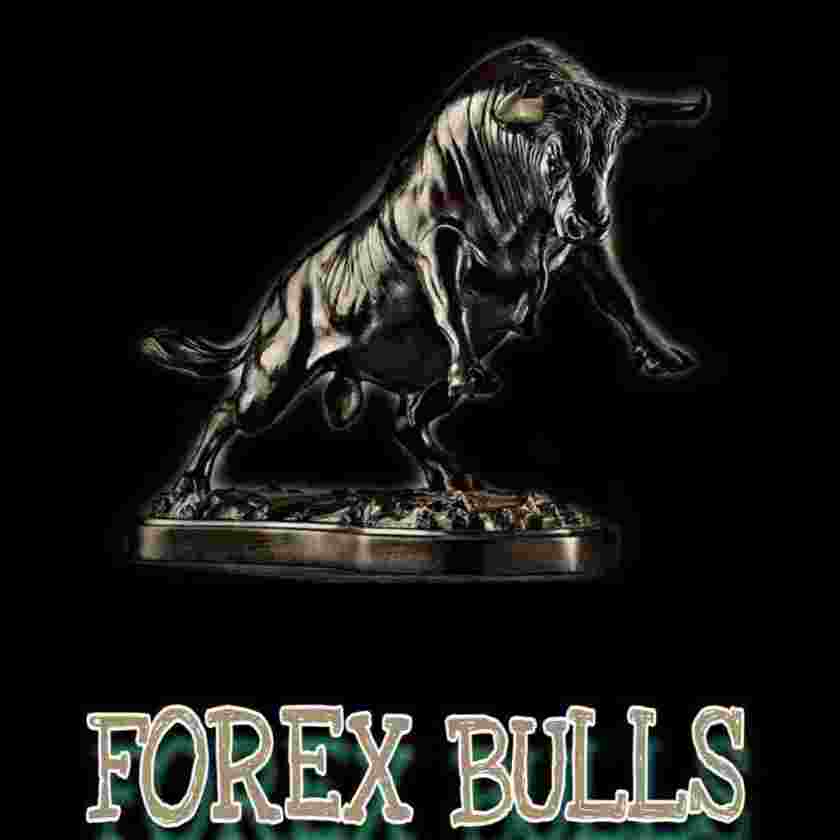 FOREX BULLS T-SHIRT
